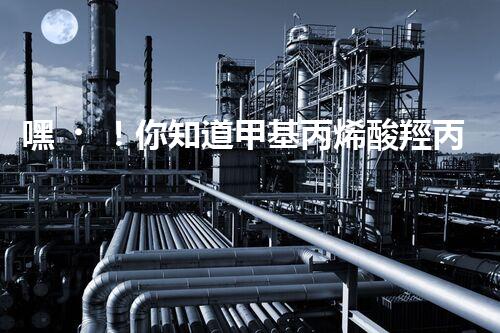 嘿！你知道甲基丙烯酸羥丙酯是?；穯?？
